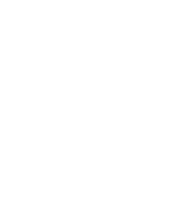 DCU_logo_white full extra canvas 300 x 300